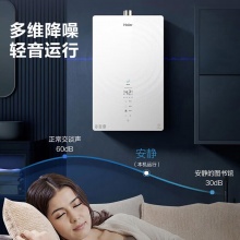 两/三管零冷水燃气热水器16升18升家用一级静音恒温20升大水量双增压节能天然气热水器